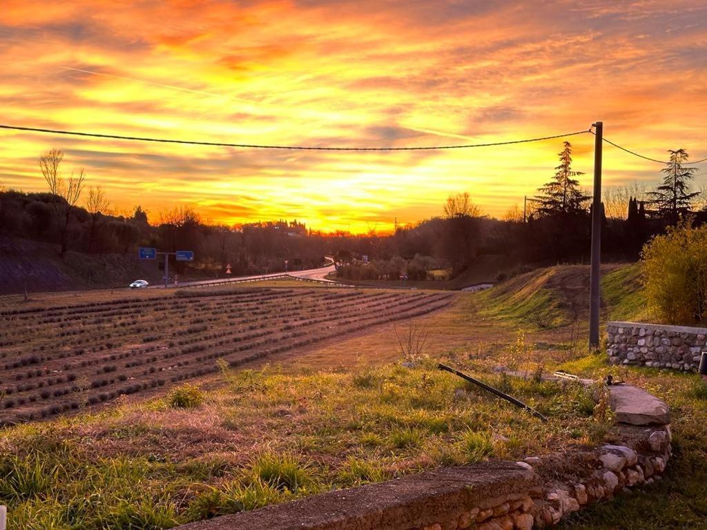 Agriturismo Al Mancino Лонато Экстерьер фото